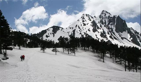 碧羅雪山