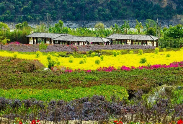 怒江定制旅游：探尋瀘水秘境